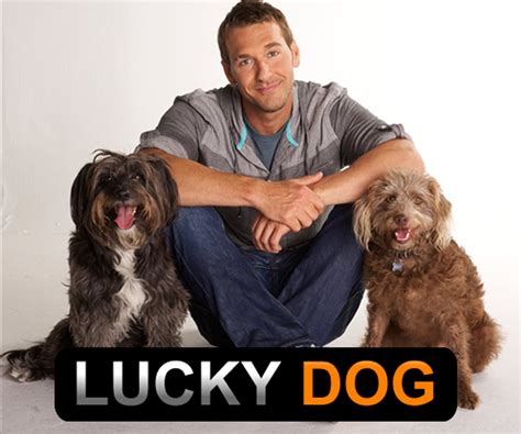 Lucky dog tv show - Lucky Dog – Season 10, Episode 25. Before being placed into their new forever homes, three rescued shelter dogs must meet face-to-face with their future furry family members.